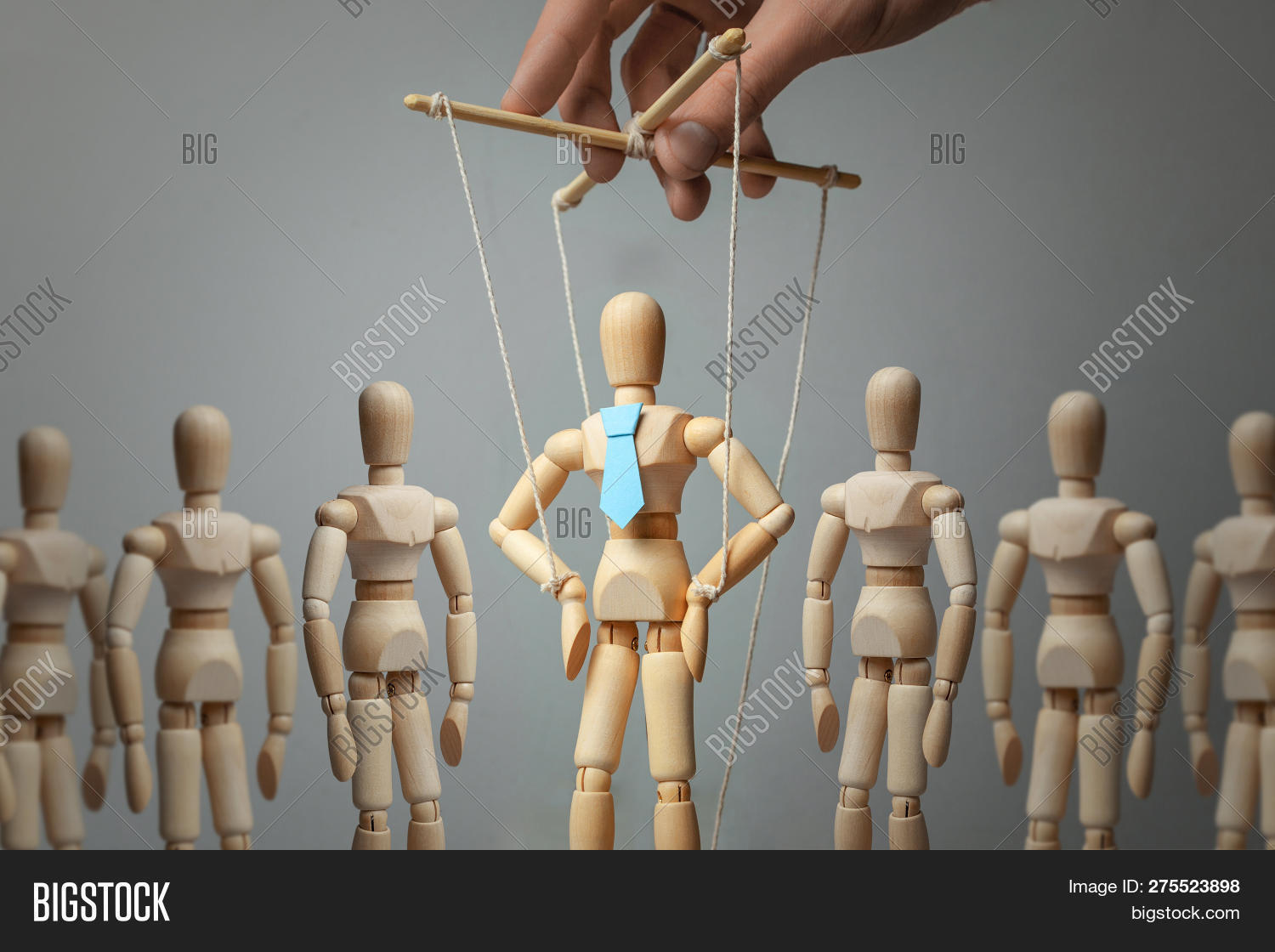 Leader Puppet Activist Image & Photo (Free Trial) Bigstock