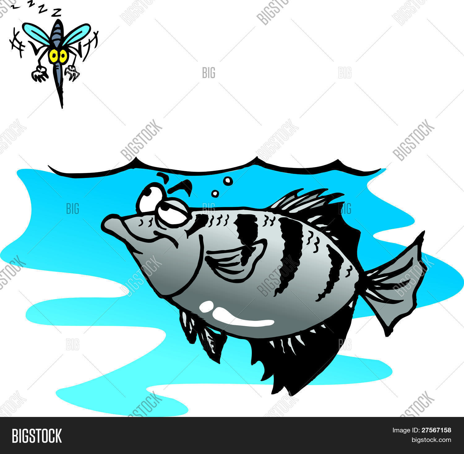 Archer Fish Vector & Photo (Free Trial) Bigstock