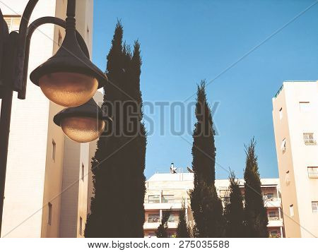 Residential Buildings And Surrounded With Green Plants In  Rishon Le Zion.