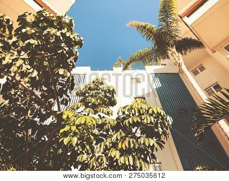 Residential Buildings And Surrounded With Green Plants In  Rishon Le Zion.