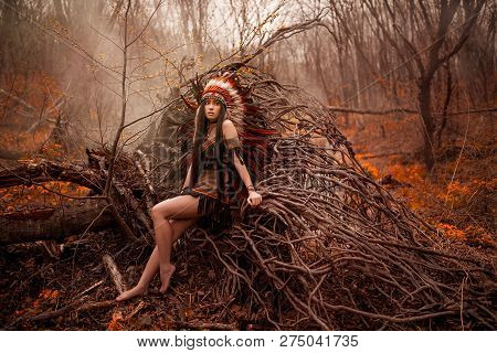 Native American. Indian Woman In Traditional Dress
