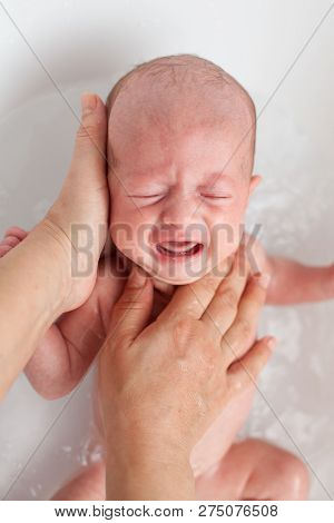 Newborn Baby Is Being Bathed By His Mother. Newborn Baby Crying In Bath Time
