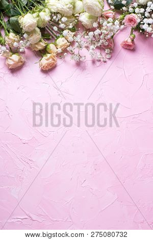Border From Fresh White Gypsofila And White Rose Flowers On  Pink Textured Background. Top View. Pla