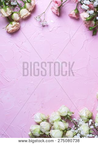 Frame From Fresh White Gypsofila And White Rose Flowers On  Pink Textured Background. Top View. Plac