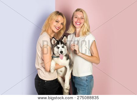 Its Hard Being This Perfect. Sexy Women With Dog Pet. Happy Girls With Sensual Look. Pretty Women Ho