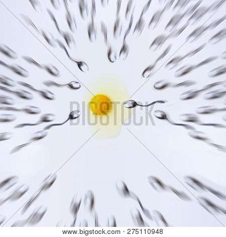 Fertilizing Concept. Egg And Spoons Symbols Of Woman Egg And Man Spermatozoa. Biology For Children.