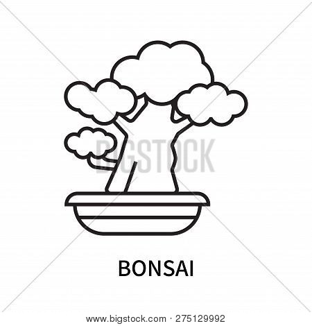 Bonsai Icon Isolated On White Background. Bonsai Icon Simple Sign. Bonsai Icon Trendy And Modern Sym