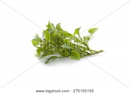 Watercress Fresh An Isolated On White Background