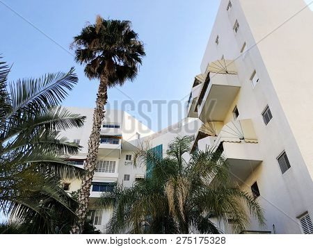 Residential Buildings And Surrounded With Green Plants In  Rishon Le Zion.