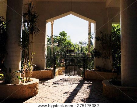 Residential Buildings And Surrounded With Green Plants In  Rishon Le Zion.