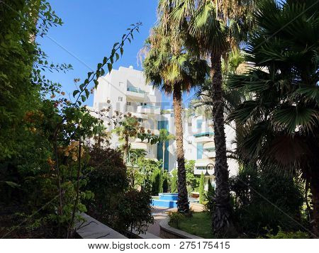 Residential Buildings And Fountain Surrounded With Green Plants In  Rishon Le Zion.