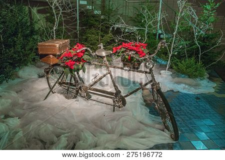 Old Retro Tandem Bicycle And Christmas Decors, Red Flowers. Travel Photo 2018. December.