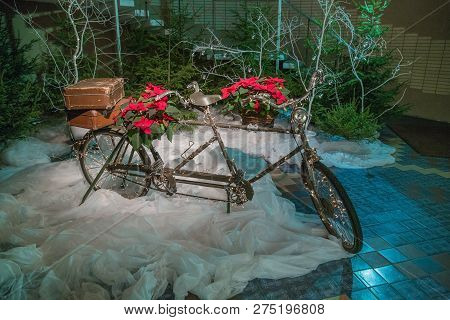 Old Retro Tandem Bicycle And Christmas Decors, Red Flowers. Travel Photo 2018. December.