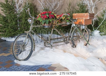 Old Retro Tandem Bicycle And Christmas Decors, Red Flowers. Travel Photo 2018. December.