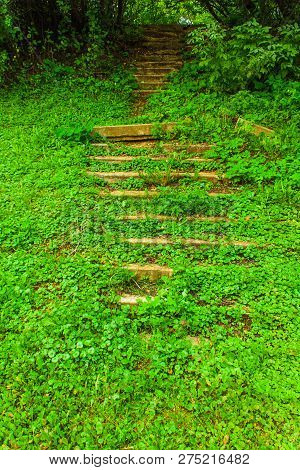Old Stairs Rising To The Top Overgrown With Green Grass