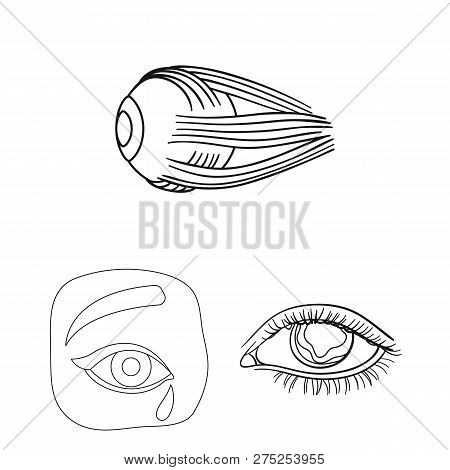 Vector Illustration Of Medical And Eyeball Icon. Collection Of Medical And Optical Stock Vector Illu