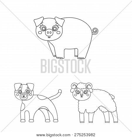 Vector Illustration Of Animal And Habitat Sign. Set Of Animal And Farm Stock Vector Illustration.