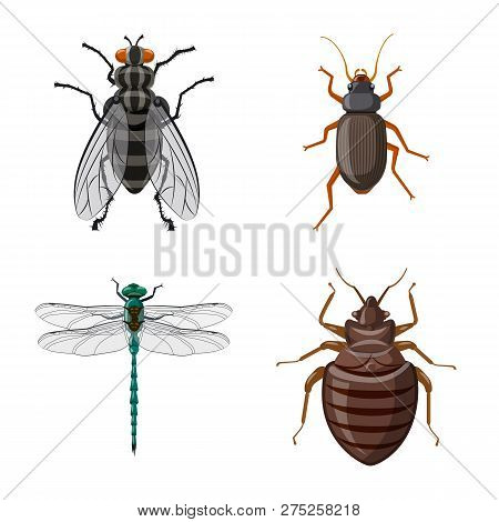 Isolated Object Of Insect And Fly Logo. Set Of Insect And Element Vector Icon For Stock.