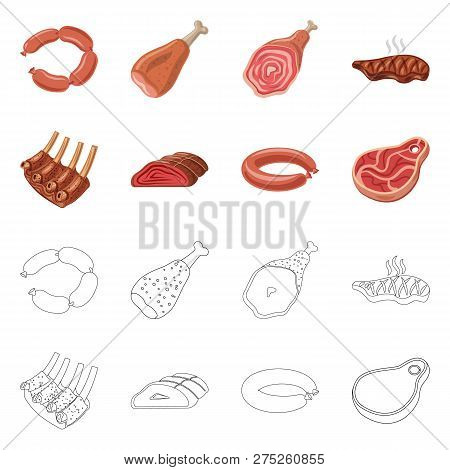 Vector Illustration Of Meat And Ham Icon. Set Of Meat And Cooking Vector Icon For Stock.
