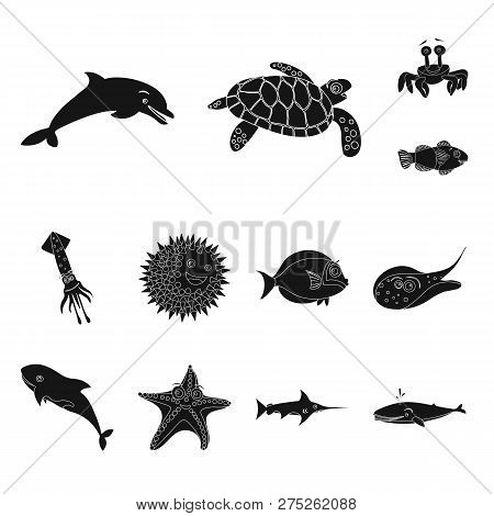 Vector Design Of Sea And Animal Icon. Set Of Sea And Marine Stock Vector Illustration.