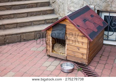 Nice Solid Wooden Doghouse Without A Dog Settled Close To The House, With An Empty Bowl, Outdoors, S