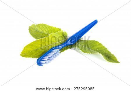 Blue Toothbrush On Fresh Green Leaves Of Mint