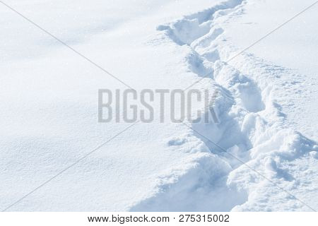 Fresh Snow Background Texture. Winter Background With Snowflakes And Snow Mounds. Snow Lumps. Footpr
