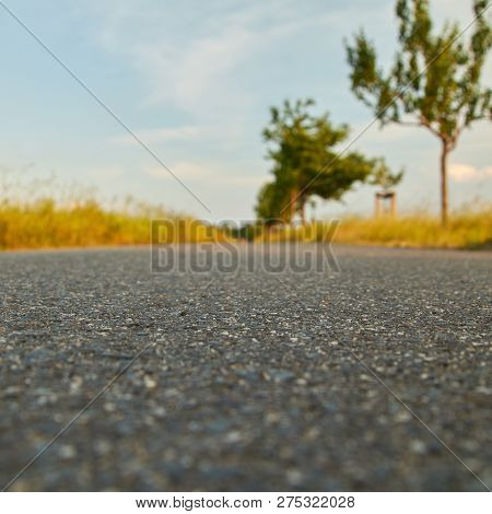 View From The Ground Of A Road Or Path From A Very Low Perspective With Trees And Fields At The Edge