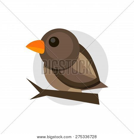 Vector Flat Illustration Of Colorful Sparrow On White Background. Element For Design.