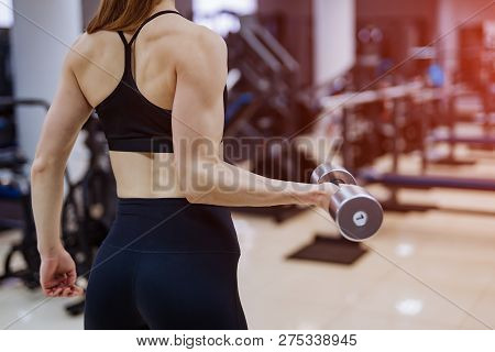 Athletic Female In Sportswear Pumping Up Arm And Back Muscles With Dumbbell In The Gym. Sporty Girl 