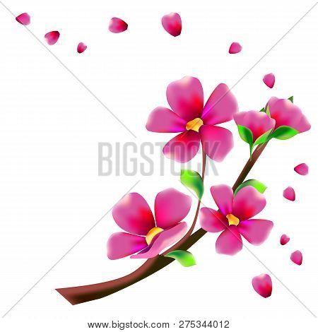 Branch With Flowers Of Sakura, Bright Flowers