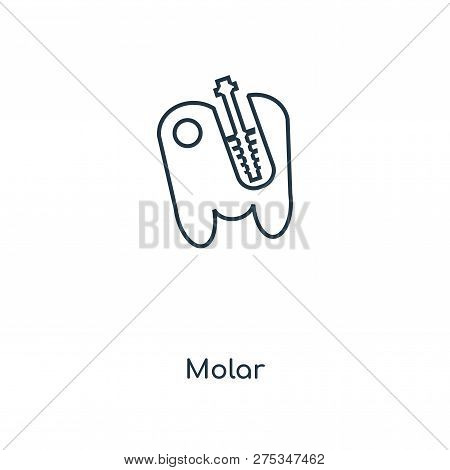 Molar Icon In Trendy Design Style. Molar Icon Isolated On White Background. Molar Vector Icon Simple