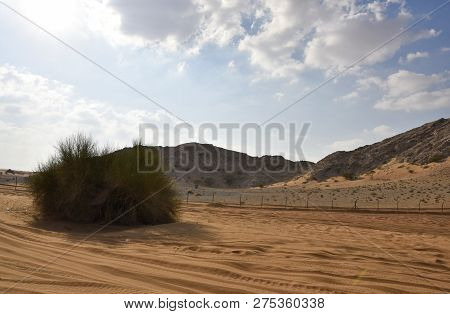 Sharjah Desert Area, One Of The Most Visited Places For Off-roading By Off Roaders