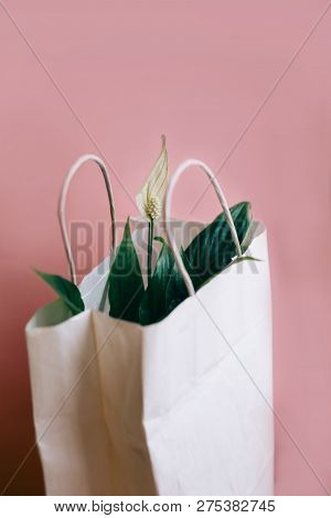 Spatifilum Flowers In White Paper Gift Bag, Spring Flowers On A Pink Background With Copy Space