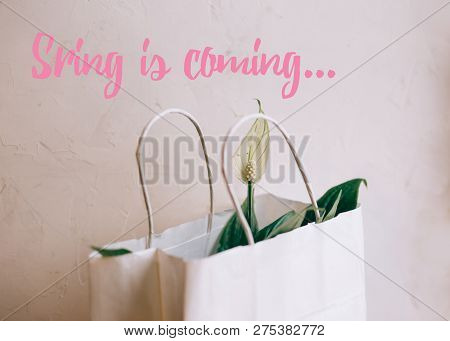 Spring Is Coming Text, Spatifilum Flowers In White Paper Gift Bag, Spring Flowers On A White Plaster