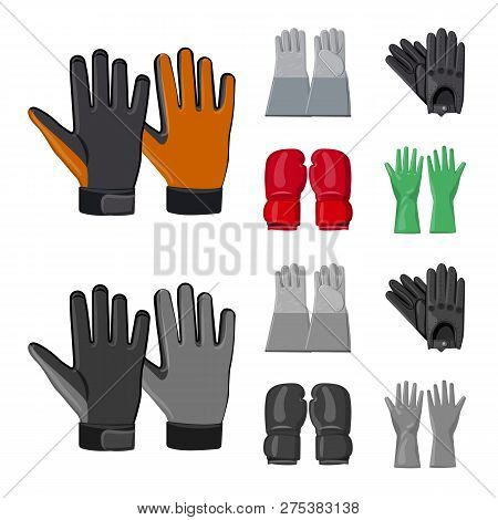 Vector Illustration Of Glove And Winter Logo. Collection Of Glove And Equipment Stock Vector Illustr