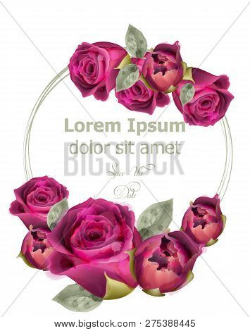 Pink Roses Watercolor Card Template Vector. Invitation Card, Wedding Ceremony, Delicate Postcard, Wo
