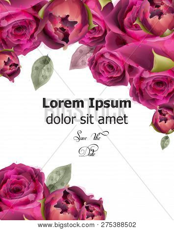 Pink Roses Watercolor Banner Template Vector. Invitation Card, Wedding Ceremony, Delicate Postcard, 