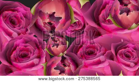 Pink Roses Watercolor Background Template Vector. Invitation Card, Wedding Ceremony, Delicate Postca