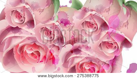 Light Pink Roses Watercolor Card Vector. Invitation Card, Wedding Ceremony, Delicate Postcard, Women