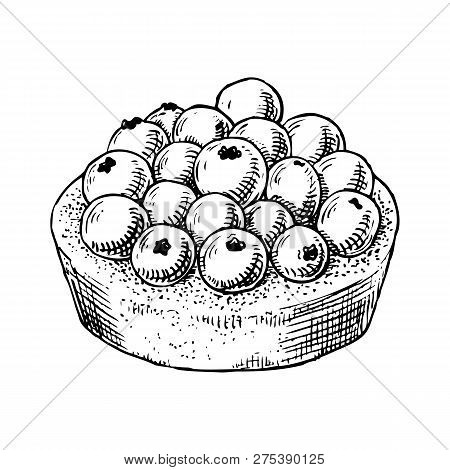 Delicious Hand Drawn Tart With Blueberries. Engraving Style Pen Pencil Painting Retro Vintage Vector