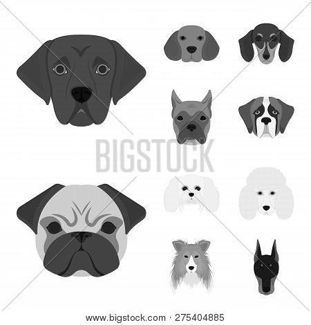 Vector Design Of Cute And Puppy Symbol. Set Of Cute And Animal Vector Icon For Stock.