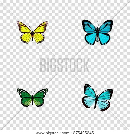 Set Of Moth Realistic Symbols With Green Peacock, Yello-wing, Papilio Ulysses And Other Icons For Yo