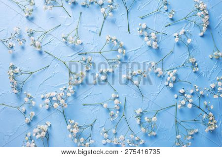 Pattern From Fresh White Gypsofila  Flowers Onvblue Textured Background. Top View. Flat Lay.