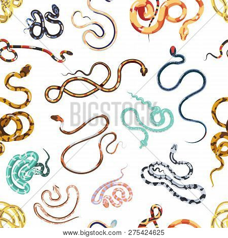 Seamless Pattern With Various Snakes Or Serpents On White Background. Backdrop With Exotic Wild Rept