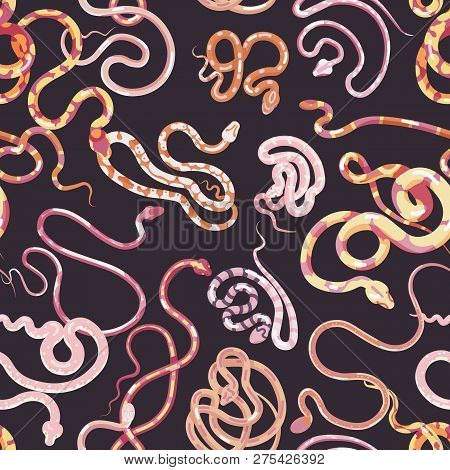 Seamless Pattern With Different Snakes Or Serpents On Black Background. Backdrop With Dangerous Trop