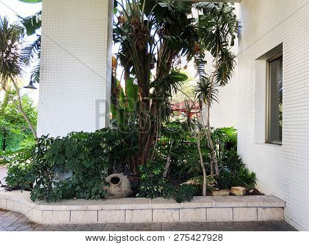 Residential Buildings And Surrounded With Green Plants With Ceramic Jug  In  Rishon Le Zion.