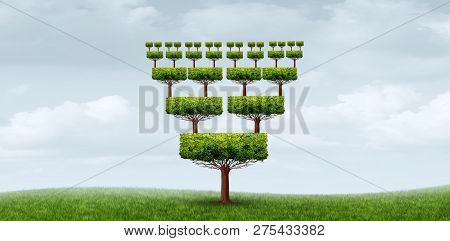 Concept Of Nepotism And Conflict Of Interest Abstract Business Symbol As A Tree With Relatives From 