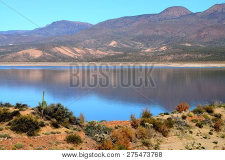 Mountain And Reflections Of Mountain In Roosevelt Lake Central Arizona