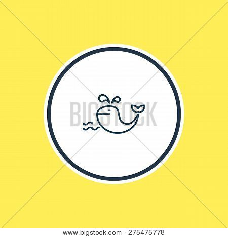 Vector Illustration Of Whale Icon Line. Beautiful Marine Element Also Can Be Used As Cetacean Icon E
